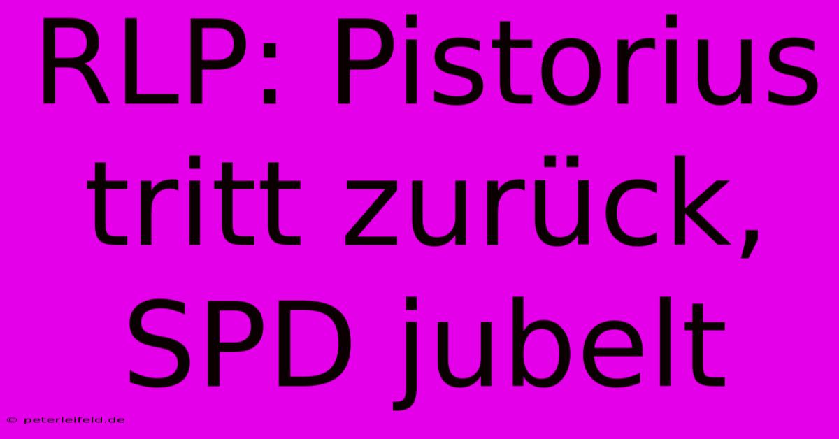 RLP: Pistorius Tritt Zurück, SPD Jubelt