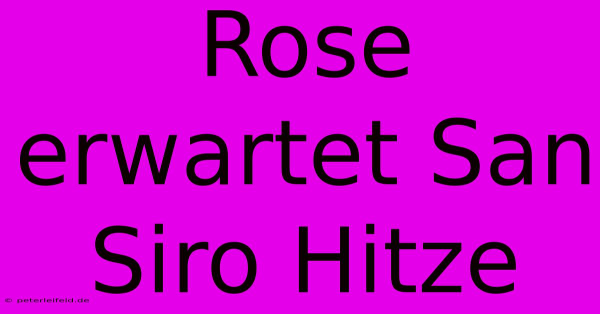 Rose Erwartet San Siro Hitze