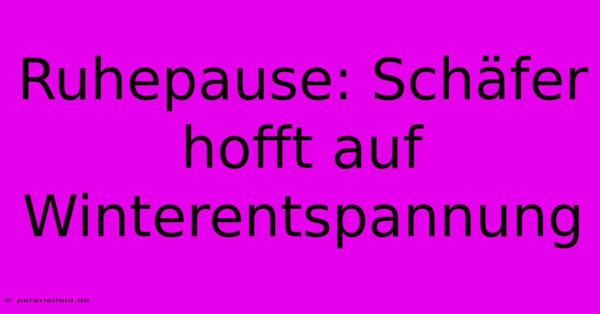 Ruhepause: Schäfer Hofft Auf Winterentspannung