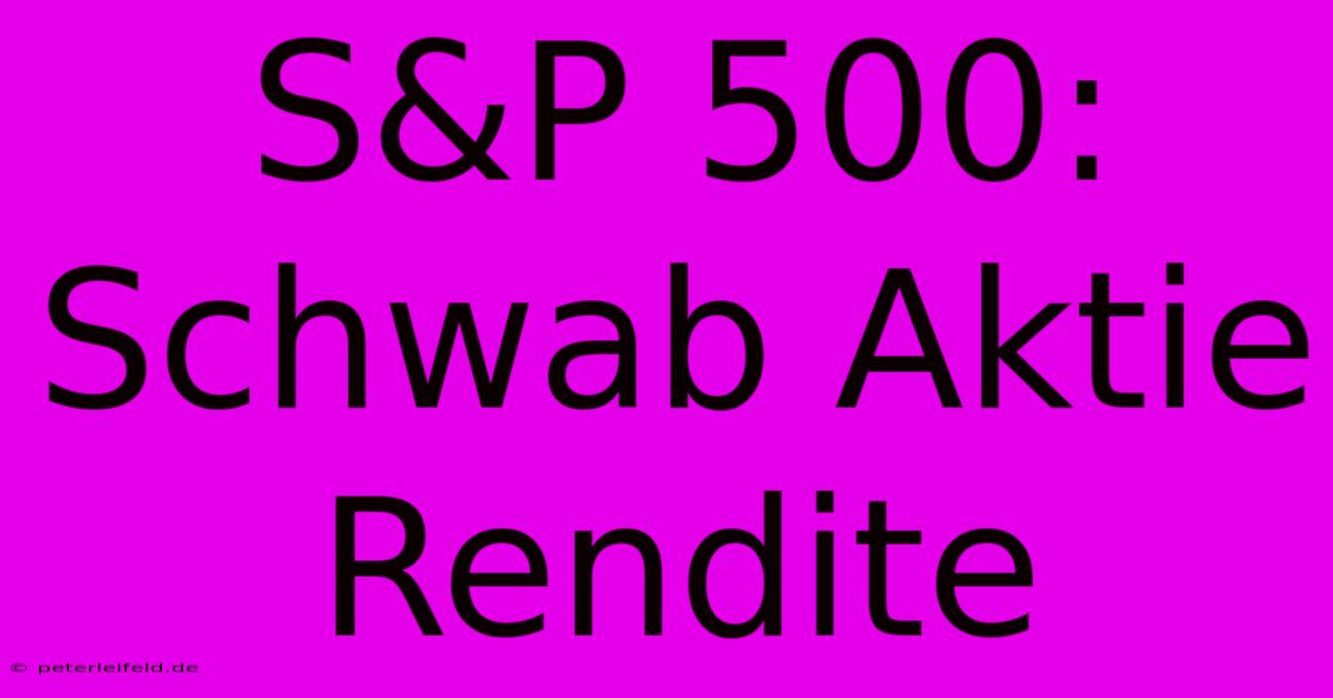 S&P 500: Schwab Aktie Rendite