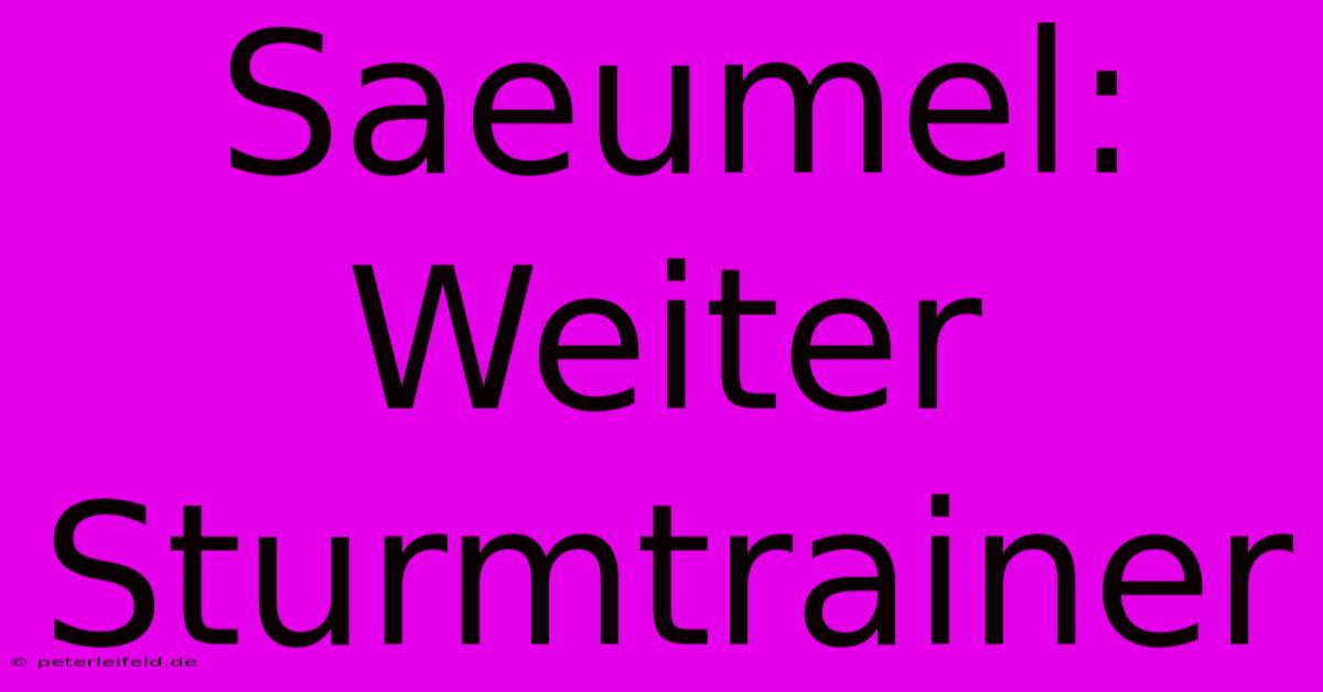 Saeumel: Weiter Sturmtrainer