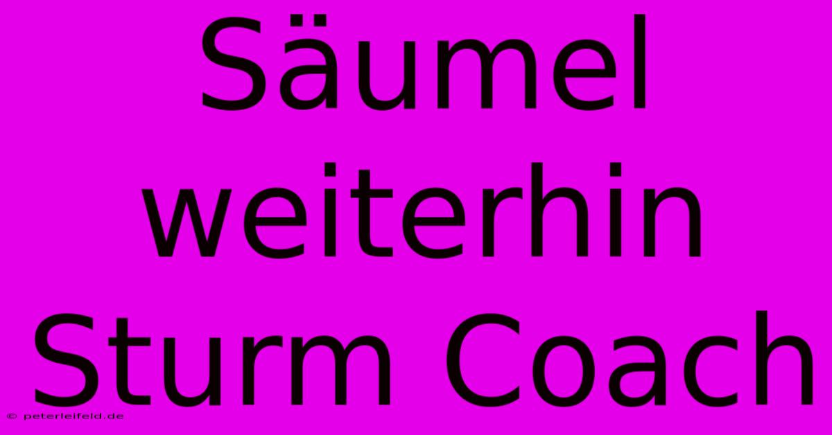 Säumel Weiterhin Sturm Coach