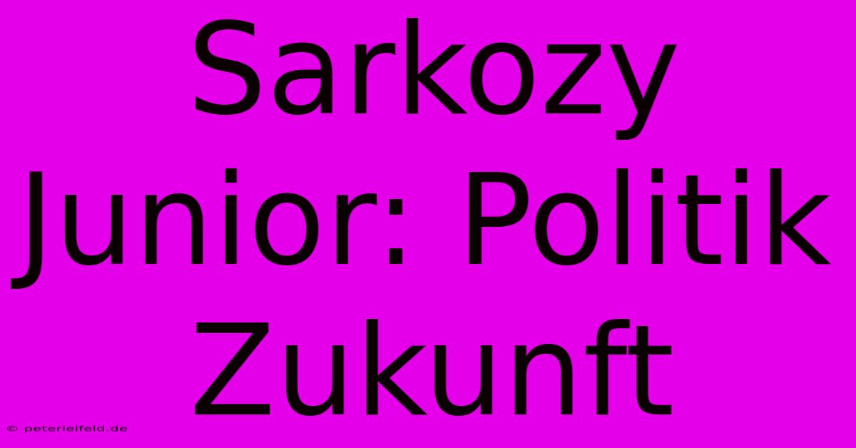 Sarkozy Junior: Politik Zukunft