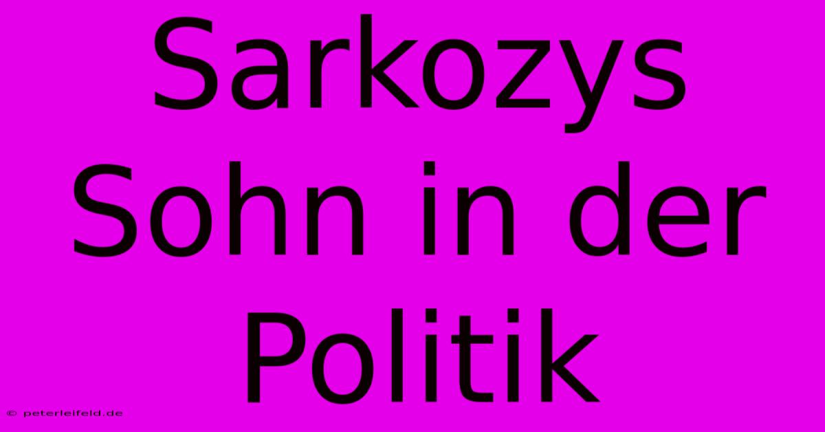 Sarkozys Sohn In Der Politik