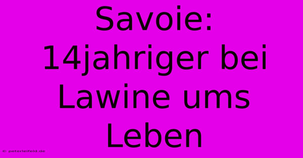 Savoie:  14jahriger Bei Lawine Ums Leben