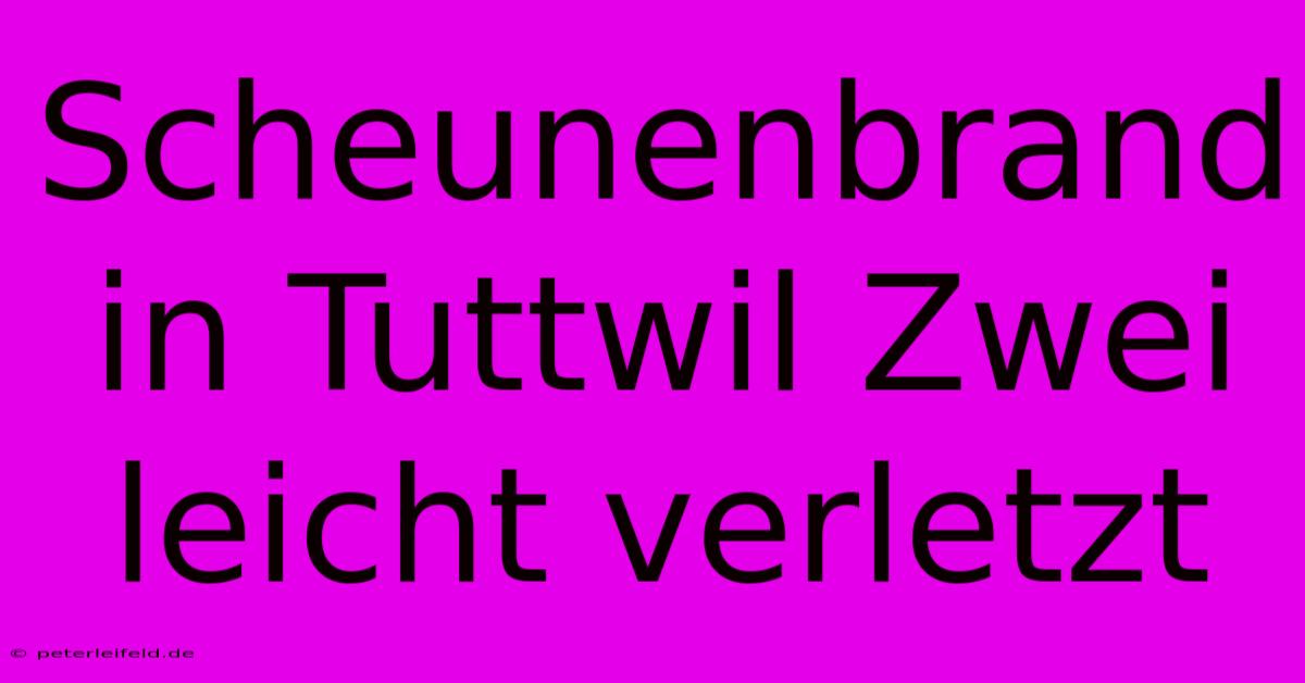 Scheunenbrand In Tuttwil Zwei Leicht Verletzt