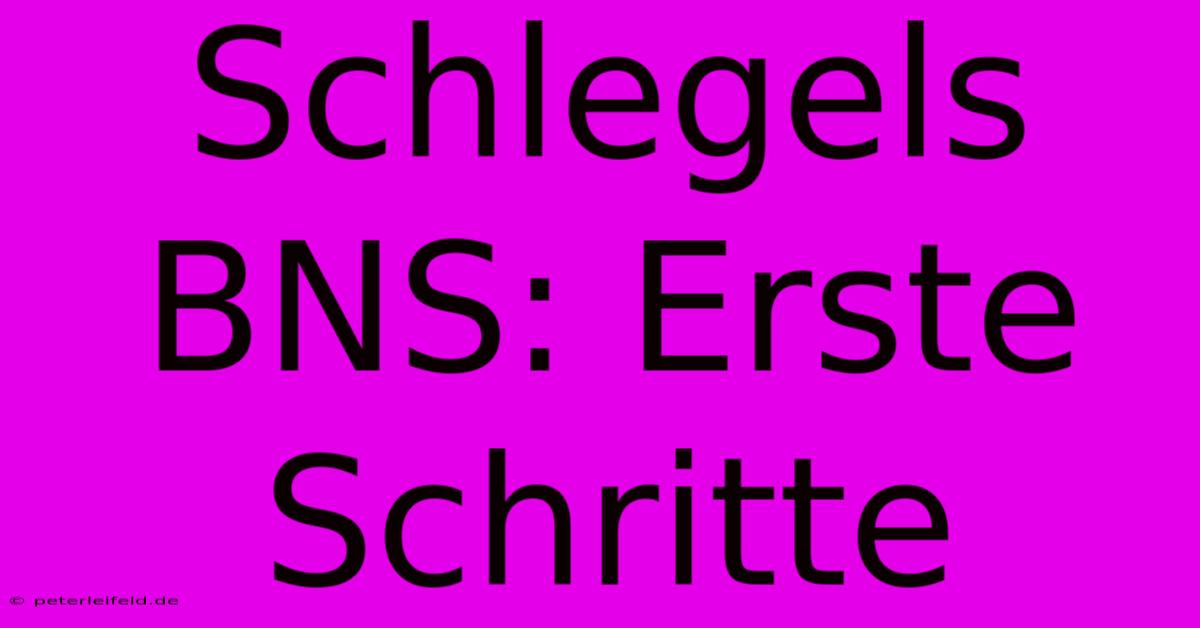 Schlegels BNS: Erste Schritte