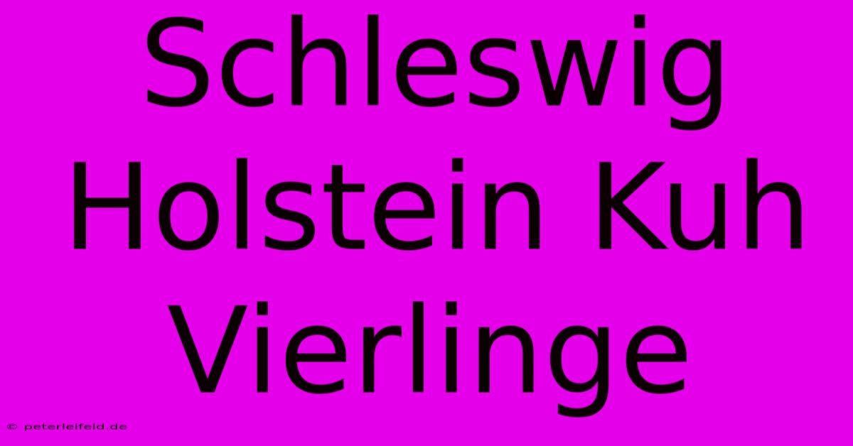 Schleswig Holstein Kuh Vierlinge