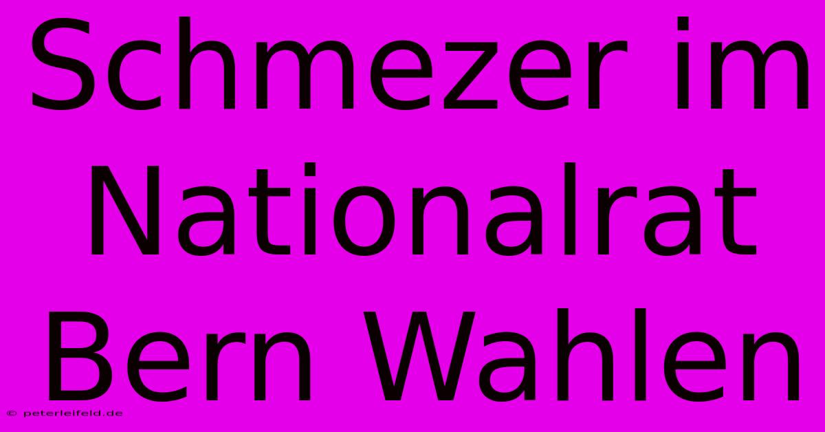 Schmezer Im Nationalrat Bern Wahlen