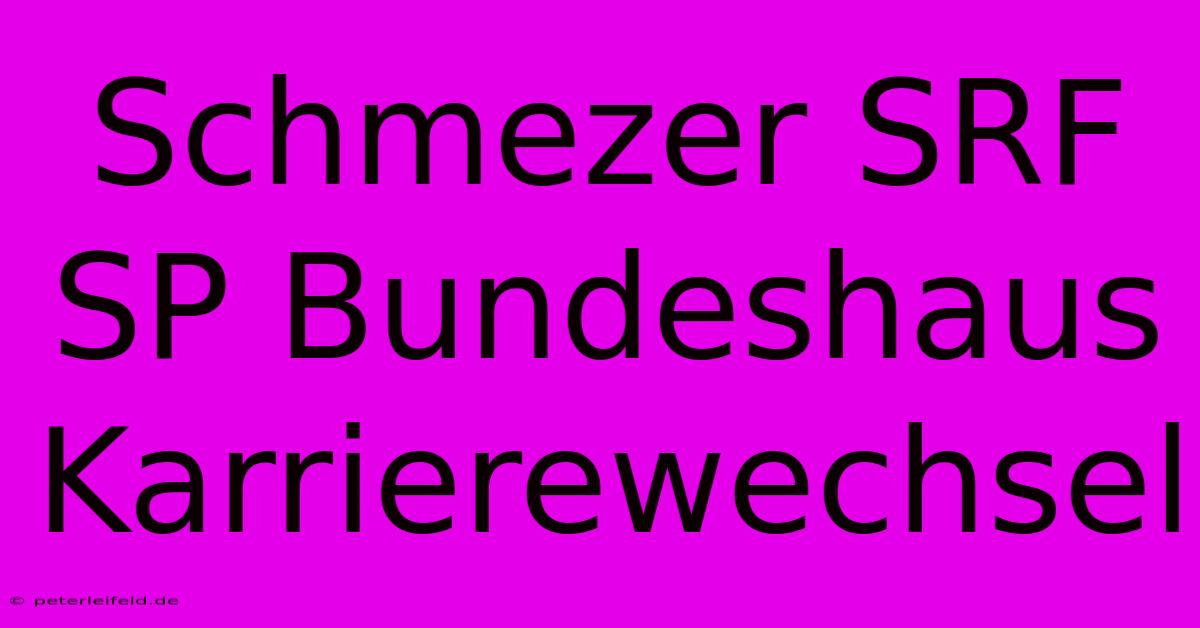 Schmezer SRF SP Bundeshaus Karrierewechsel