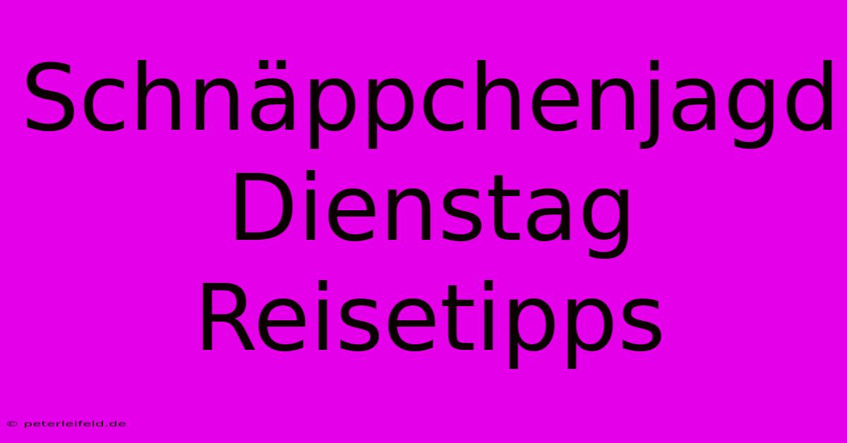 Schnäppchenjagd Dienstag Reisetipps