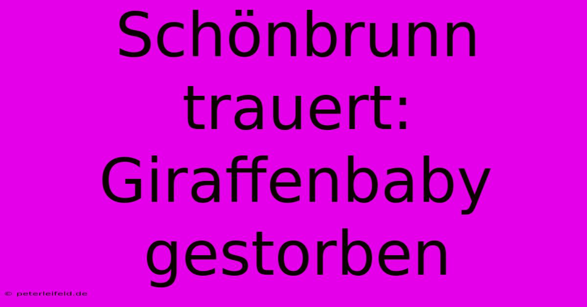 Schönbrunn Trauert: Giraffenbaby Gestorben