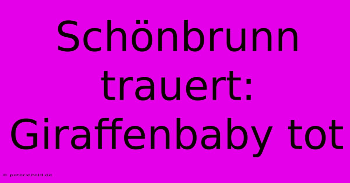 Schönbrunn Trauert: Giraffenbaby Tot