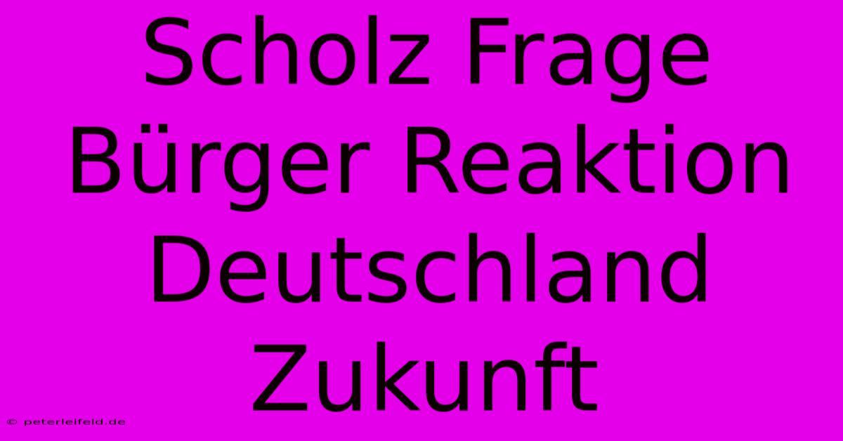 Scholz Frage Bürger Reaktion Deutschland Zukunft