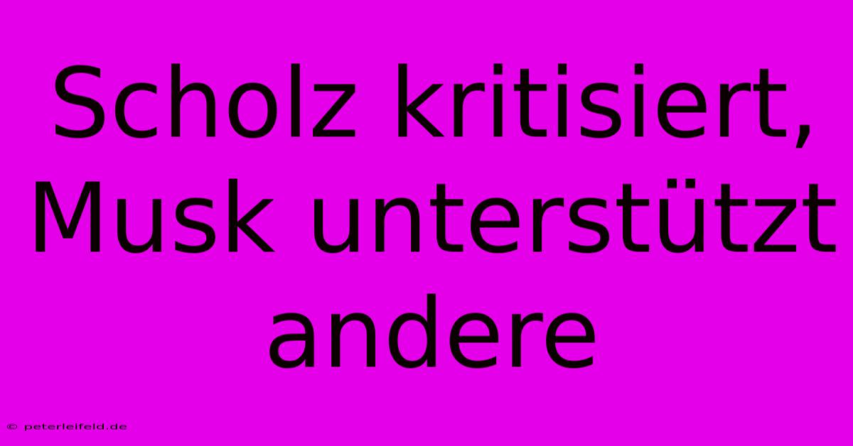 Scholz Kritisiert, Musk Unterstützt Andere