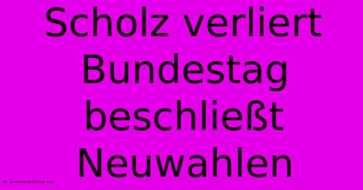 Scholz Verliert Bundestag Beschließt Neuwahlen