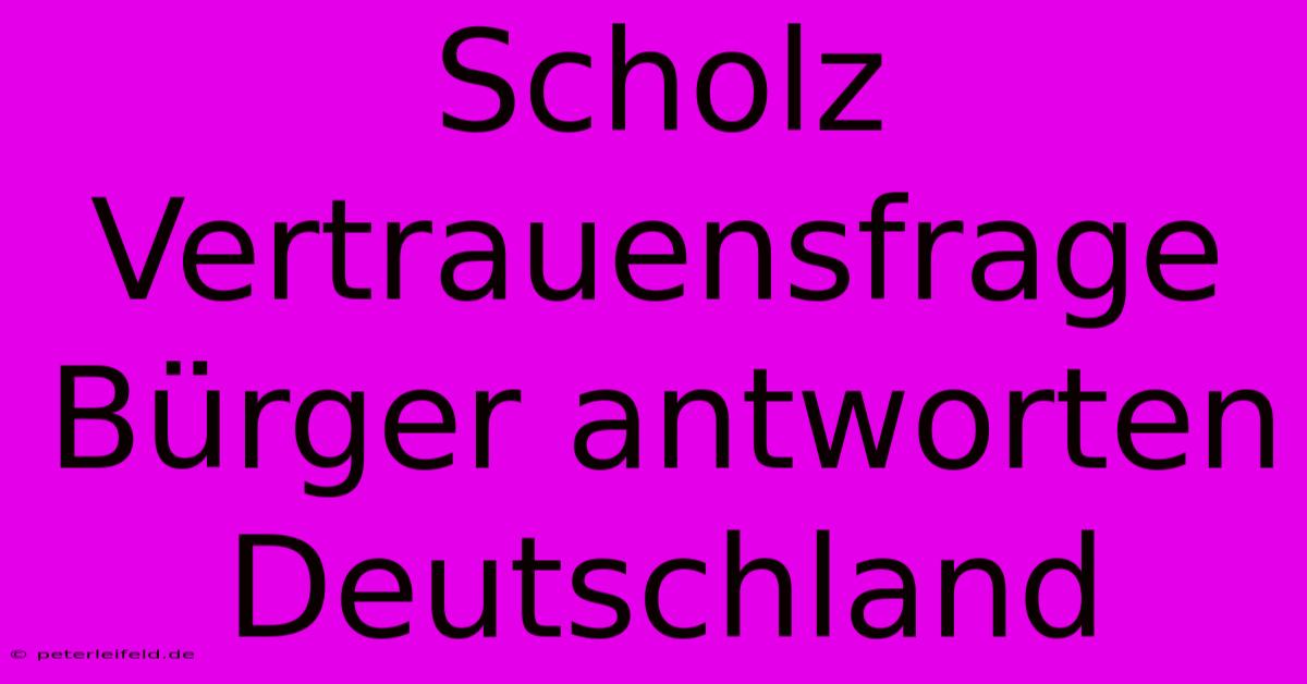 Scholz Vertrauensfrage Bürger Antworten Deutschland