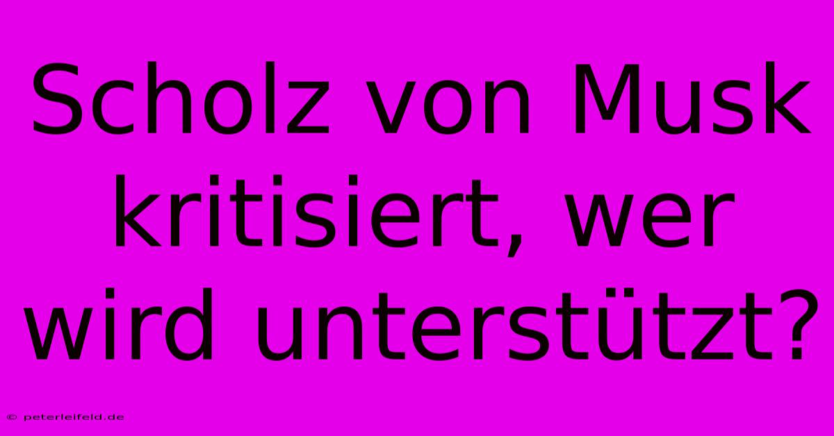 Scholz Von Musk Kritisiert, Wer Wird Unterstützt?