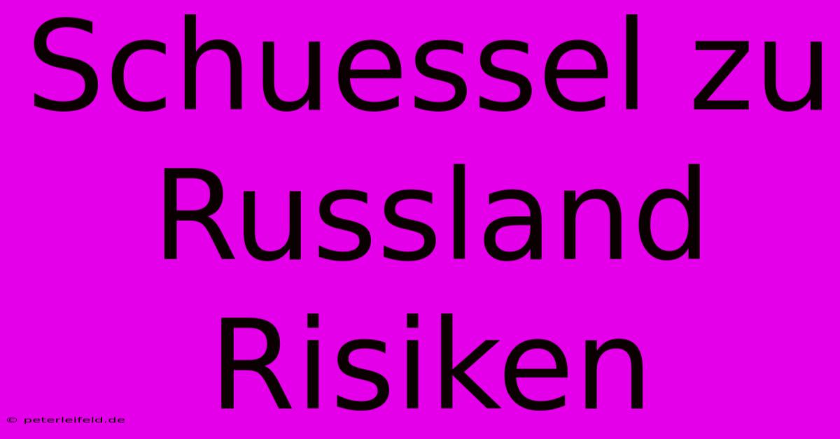 Schuessel Zu Russland Risiken