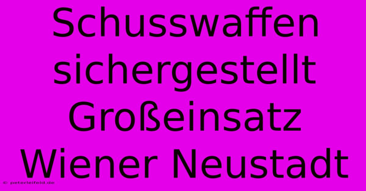 Schusswaffen Sichergestellt Großeinsatz Wiener Neustadt