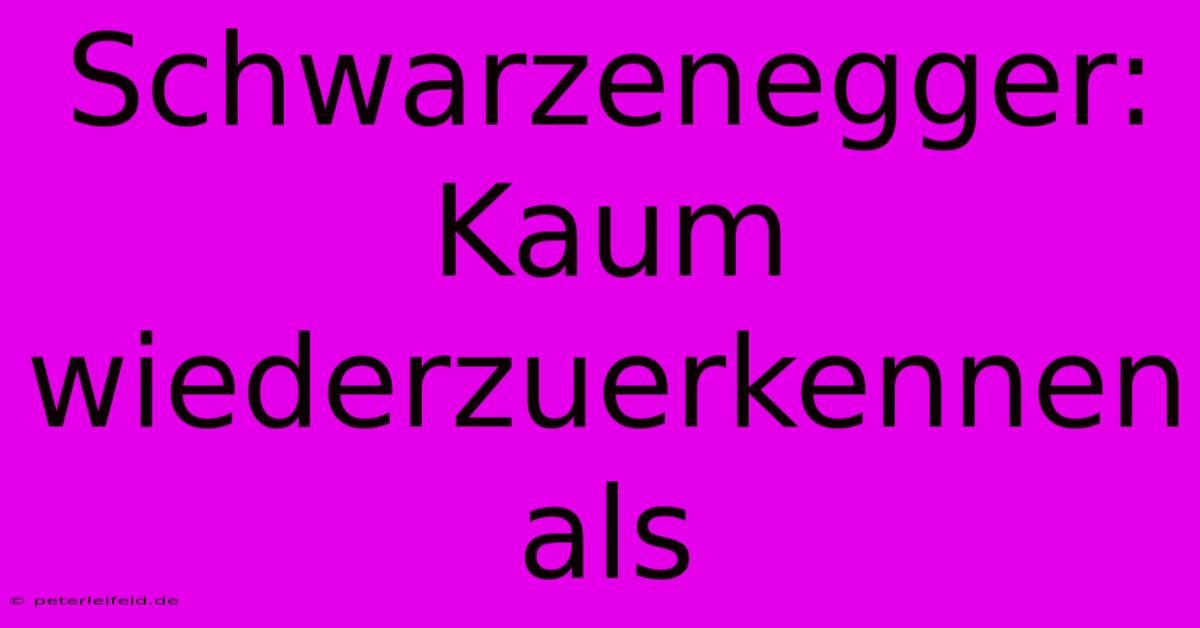 Schwarzenegger: Kaum Wiederzuerkennen Als