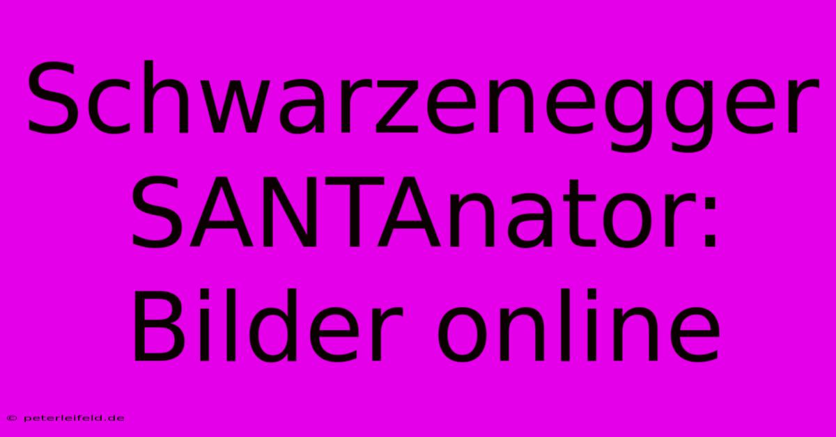 Schwarzenegger SANTAnator: Bilder Online