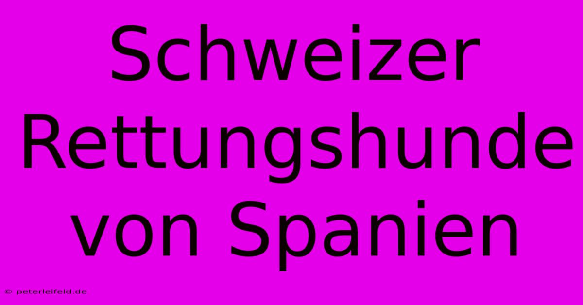 Schweizer Rettungshunde Von Spanien