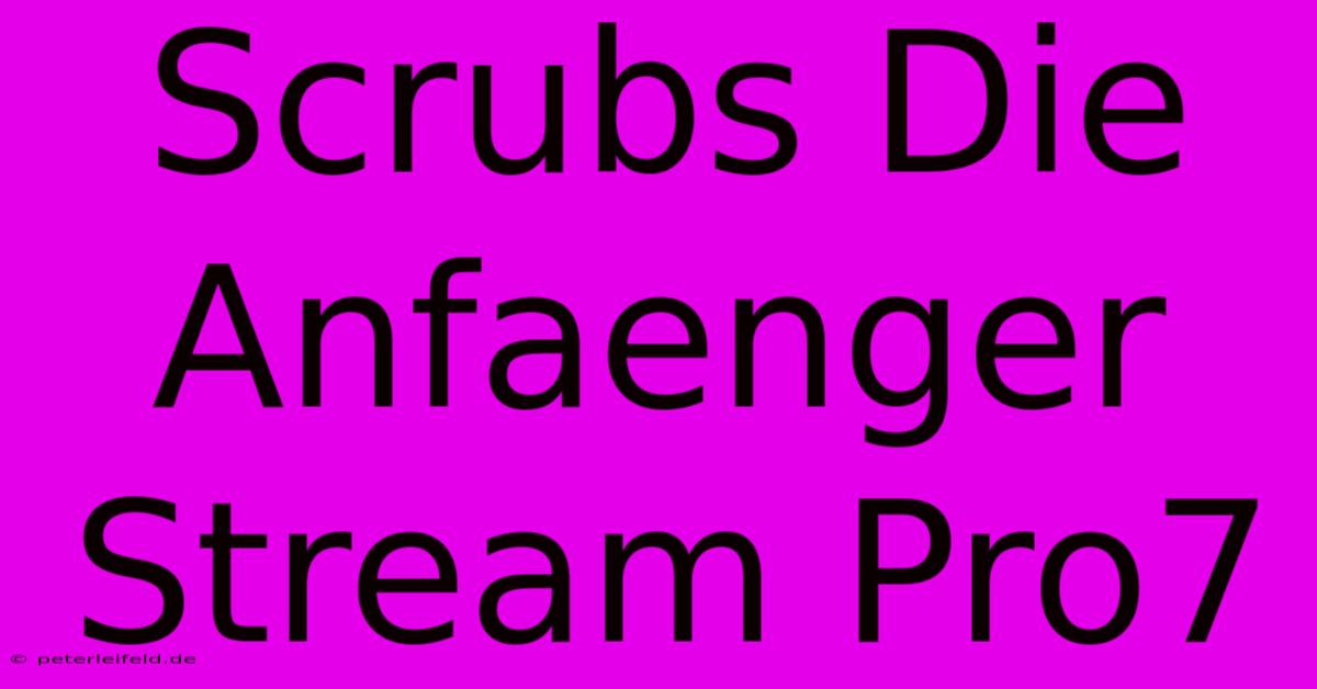 Scrubs Die Anfaenger Stream Pro7