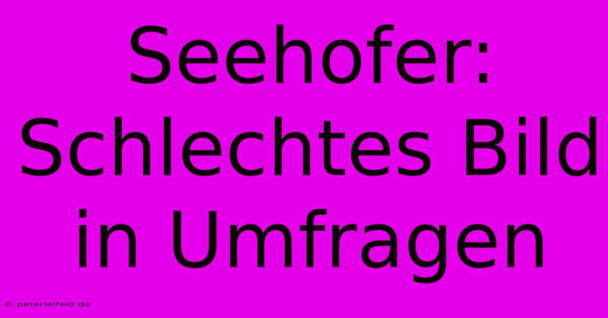 Seehofer: Schlechtes Bild In Umfragen