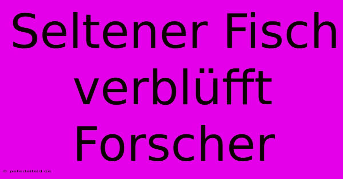 Seltener Fisch Verblüfft Forscher