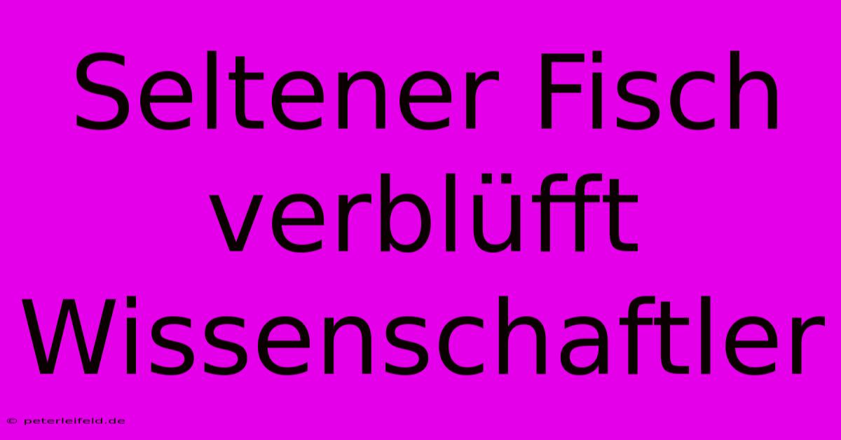 Seltener Fisch Verblüfft Wissenschaftler