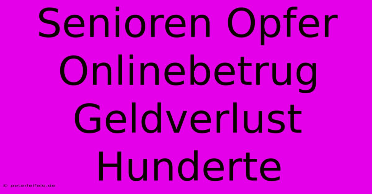 Senioren Opfer Onlinebetrug Geldverlust Hunderte