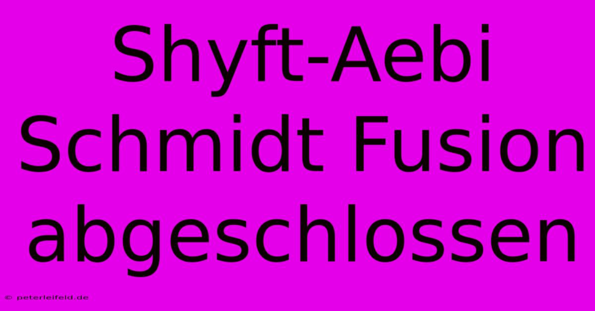 Shyft-Aebi Schmidt Fusion Abgeschlossen