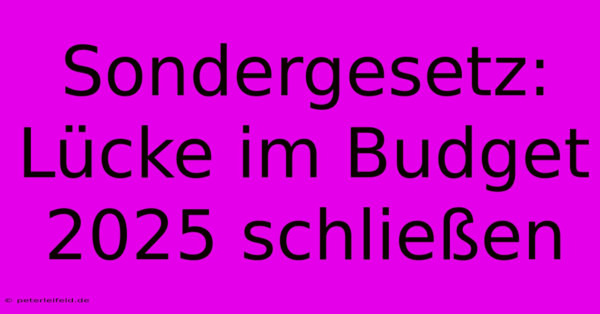 Sondergesetz: Lücke Im Budget 2025 Schließen