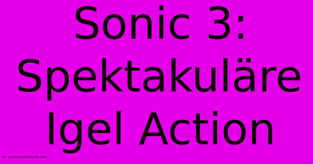 Sonic 3: Spektakuläre Igel Action