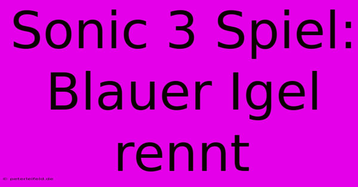 Sonic 3 Spiel: Blauer Igel Rennt