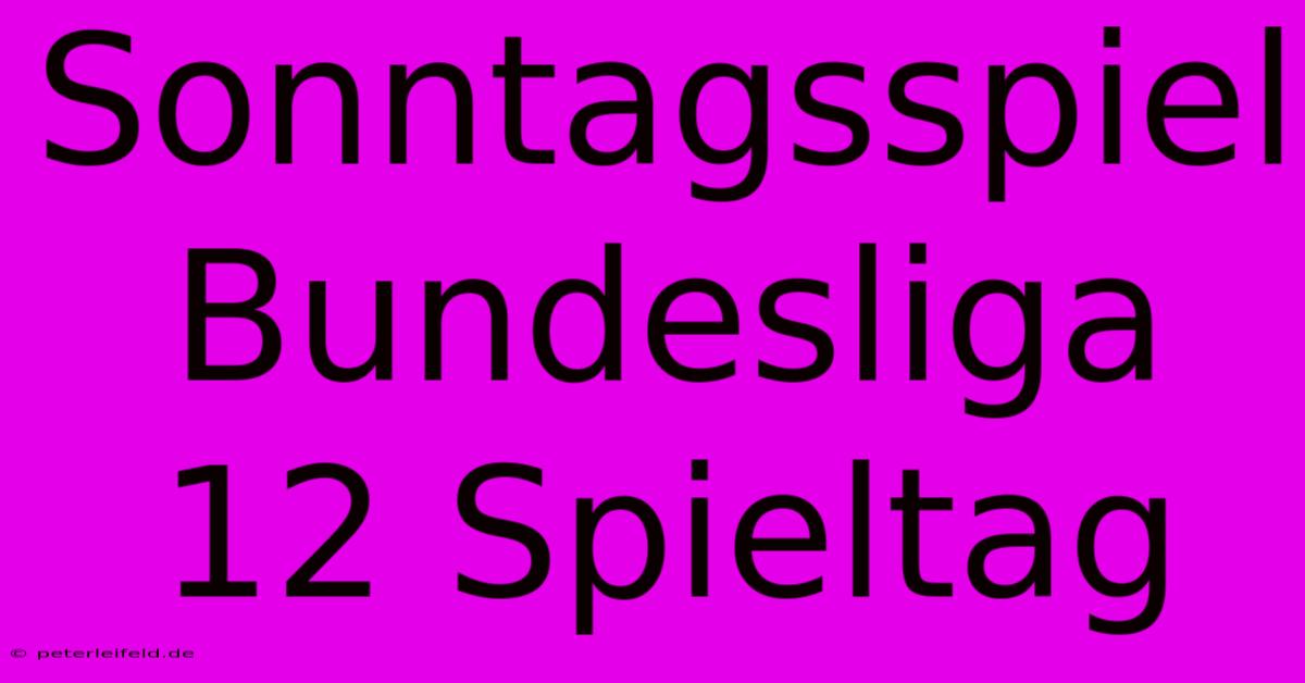 Sonntagsspiel Bundesliga 12 Spieltag