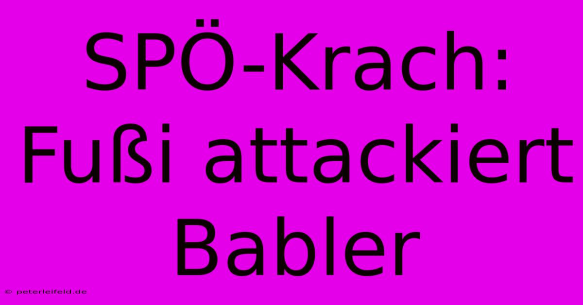 SPÖ-Krach: Fußi Attackiert Babler