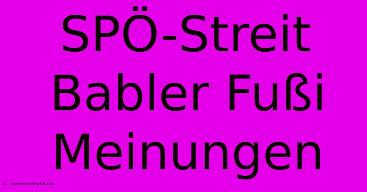 SPÖ-Streit Babler Fußi Meinungen