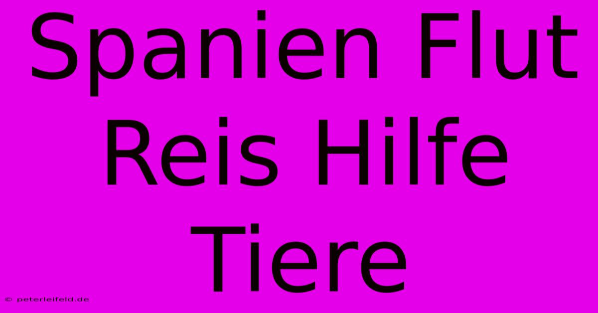 Spanien Flut Reis Hilfe Tiere