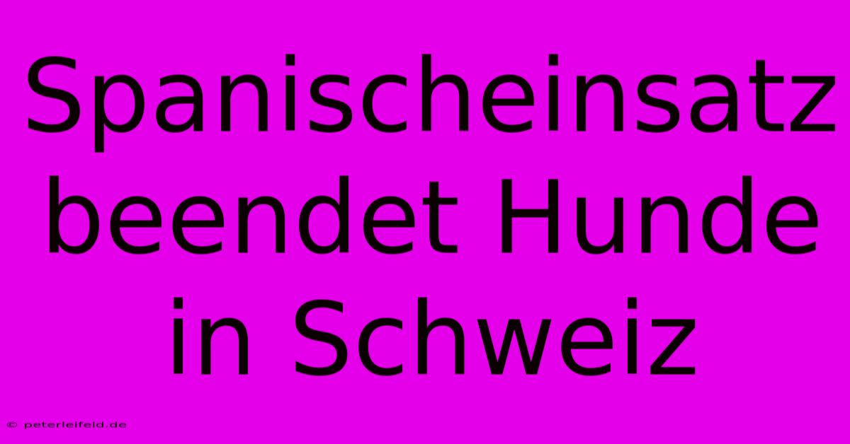 Spanischeinsatz Beendet Hunde In Schweiz