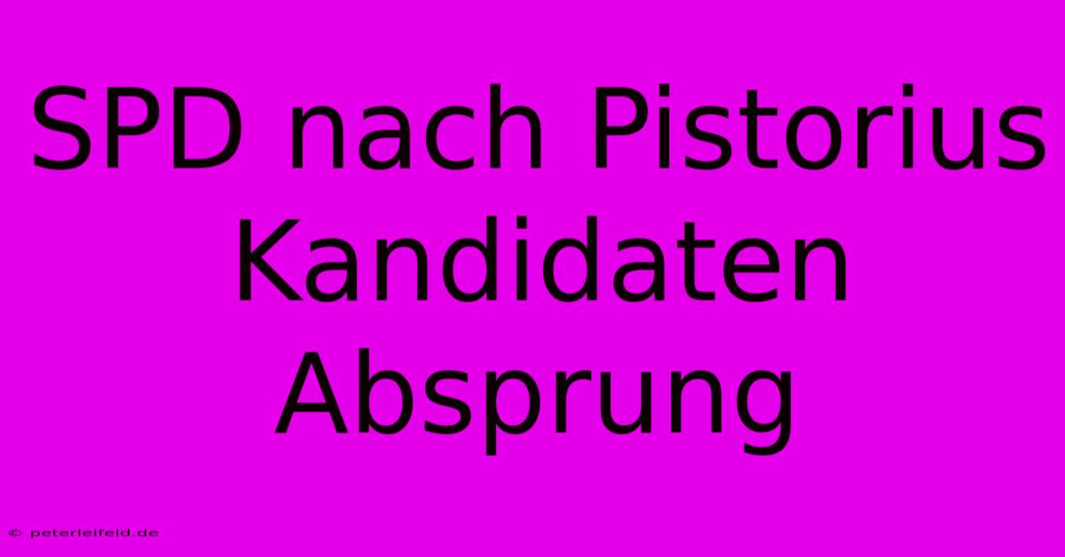 SPD Nach Pistorius Kandidaten Absprung