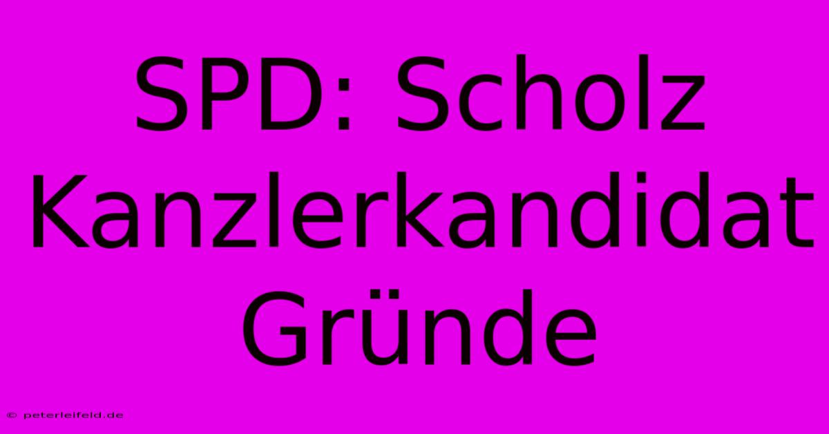 SPD: Scholz Kanzlerkandidat Gründe