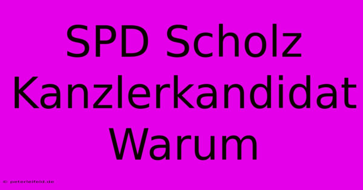 SPD Scholz Kanzlerkandidat Warum