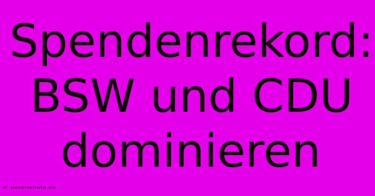 Spendenrekord: BSW Und CDU Dominieren