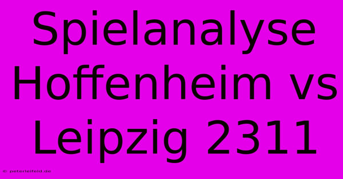 Spielanalyse Hoffenheim Vs Leipzig 2311