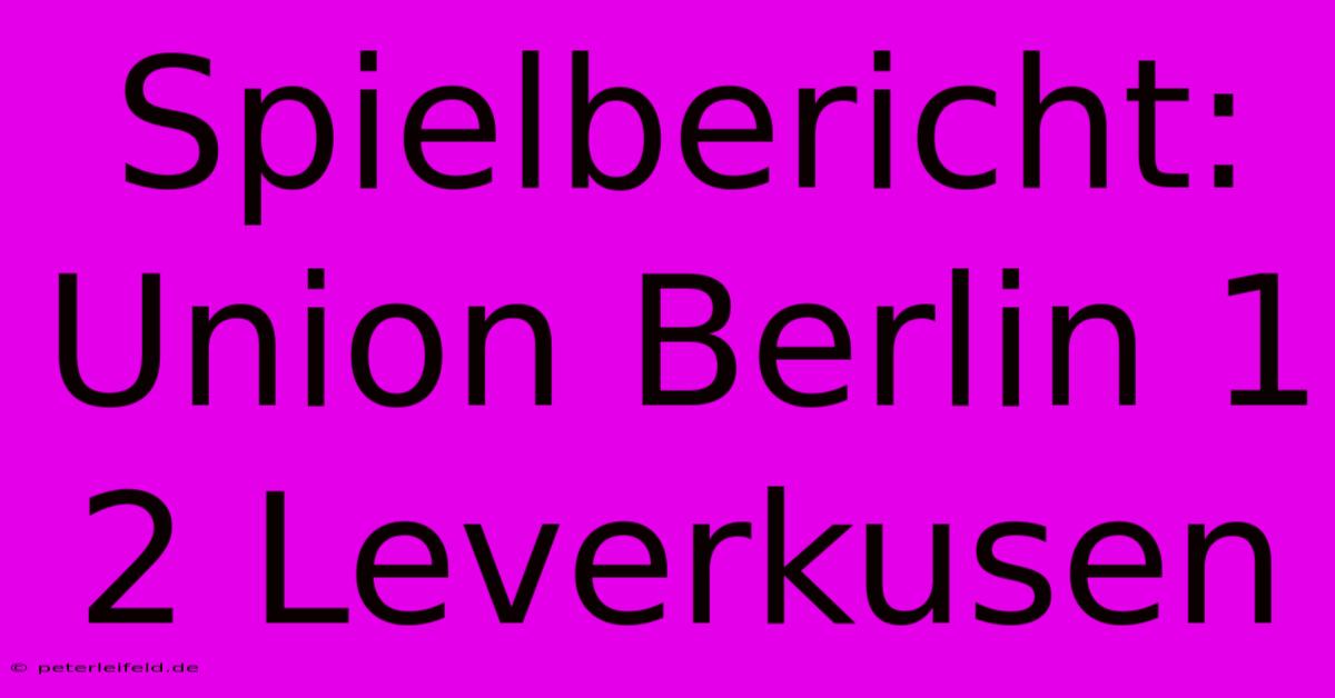 Spielbericht: Union Berlin 1 2 Leverkusen