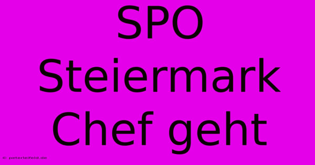 SPO Steiermark Chef Geht