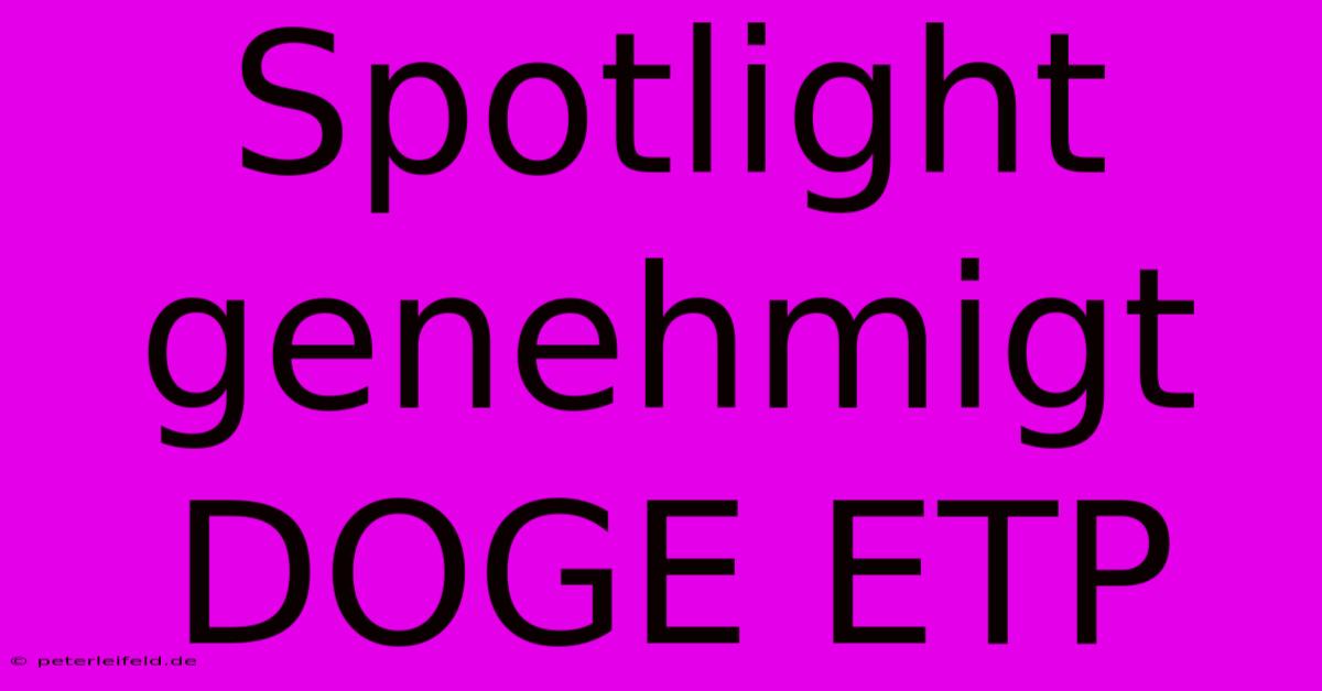 Spotlight Genehmigt DOGE ETP