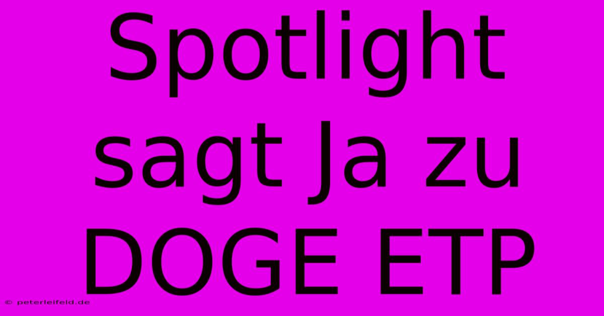 Spotlight Sagt Ja Zu DOGE ETP